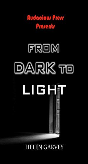 Cover of the book From Dark To Light by Bert Starzer