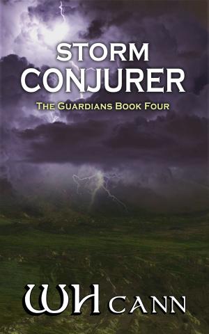 Book cover of The Guardians Book 4: Storm Conjurer