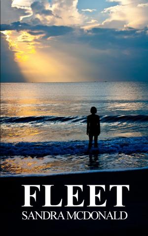 Cover of the book Fleet: A Transgender Sci Fi story by Richard Prosch