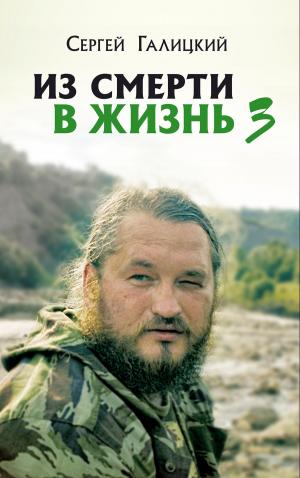 Cover of the book Из смерти в жизнь. Часть 3 by Mel Goldberg