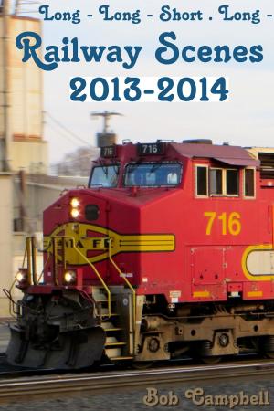 Cover of the book Railway Scenes 2013-2014 by Stefano Puviani E Gloria Malagoli