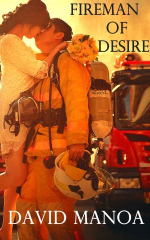 Cover of the book Fireman of Desire by Ava Blackstone