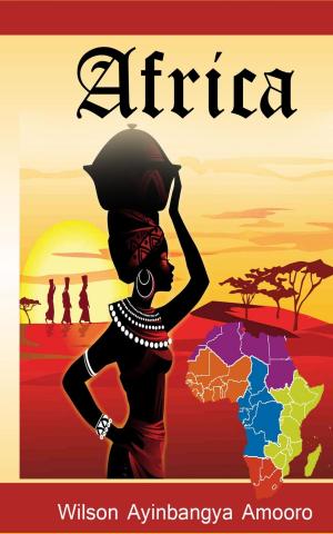 Cover of the book Africa by Jules Berlioz d'Auriac
