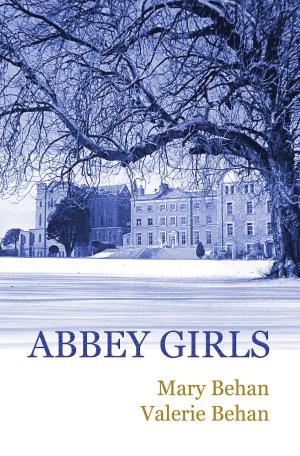 Cover of the book Abbey Girls by Johnny Dod