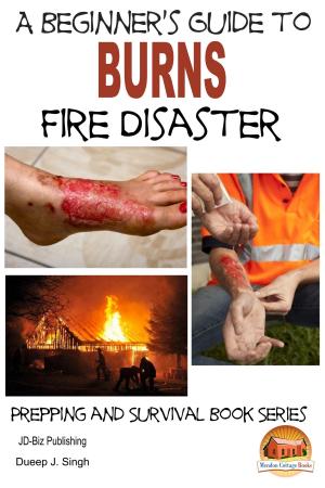 Cover of the book A Beginner's Guide to Burns: Fire Disaster by Zahra Jazeel, John Davidson