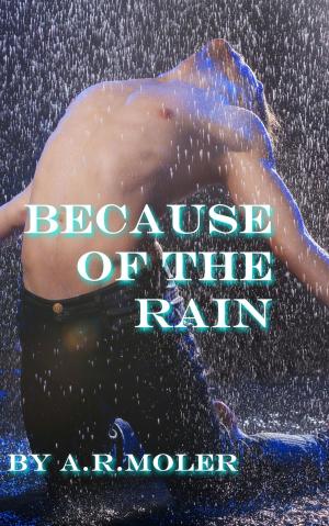 bigCover of the book Because of the Rain by 