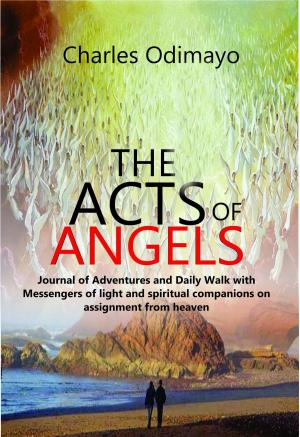 Cover of the book The Acts of Angels by Susan Davis