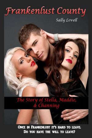 Book cover of Frankenlust County The Story of Stella, Maddie & Channing