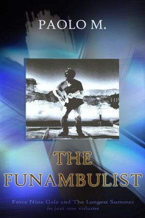 Cover of the book The Funambulist by Julie Gerstenblatt