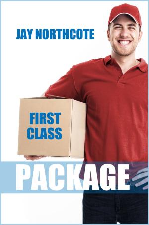 Cover of the book First Class Package by Elaine Grant