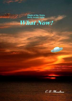 Book cover of Flight of the Maita Book 28: What Now?