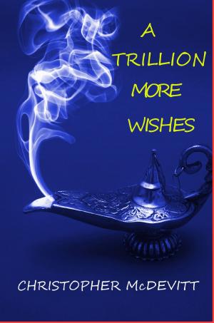 bigCover of the book A Trillion More Wishes by 