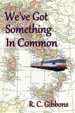 Cover of the book We've Got Something In Common by Gene Zimmerman