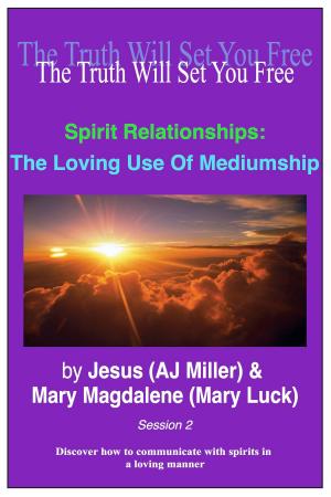 Cover of the book Spirit Relationships: The Loving Use of Mediumship Session 2 by Jesus (AJ Miller), Mary Magdalene (Mary Luck)