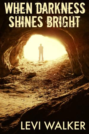 Cover of the book When Darkness Shines Bright by Joseph Tatner