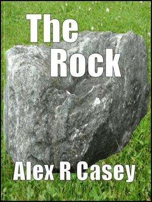 Cover of the book The Rock by Steve Conoboy
