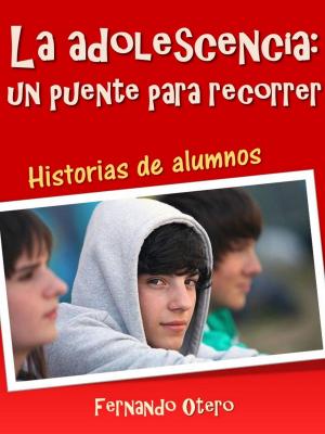 Book cover of La adolescencia: un puente para recorrer