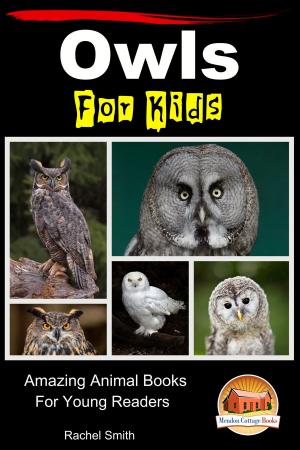 Cover of the book Owls For Kids: Amazing Animal Books For Young Readers by Molly Davidson