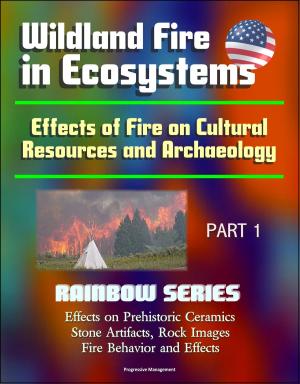 Cover of Wildland Fire in Ecosystems: Effects of Fire on Cultural Resources and Archaeology (Rainbow Series) Part 1 - Effects on Prehistoric Ceramics, Stone Artifacts, Rock Images, Fire Behavior and Effects
