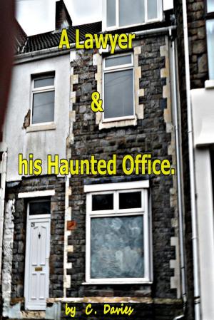 Cover of A Lawyer & His Haunted Office