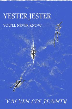 Cover of the book Yester Jester: You'll Never Know by Holly Mandelkern