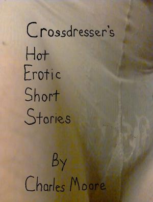 Book cover of Crossdresser's Hot Erotic Short Stories