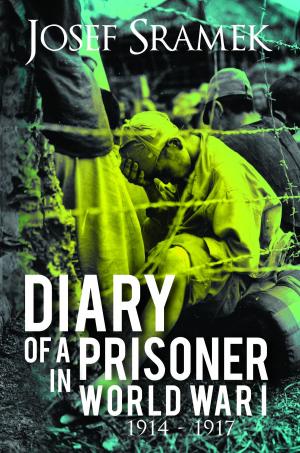 bigCover of the book Diary of a Prisoner in World War I by 