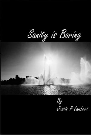 Cover of the book Sanity is Boring by Amanda Song