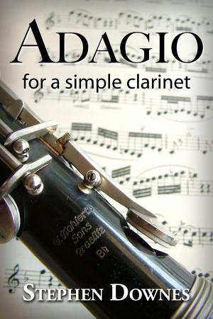 Book cover of Adagio for a simple clarinet