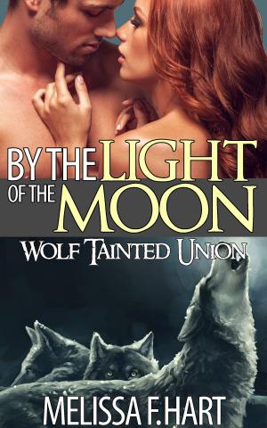 Cover of the book By the Light of the Moon by R.A. Muldoon