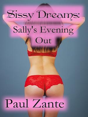 Cover of the book Sissy Dreams: Sally's Evening Out by Paul Zante