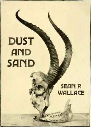 Cover of the book Dust and Sand by David Addleman