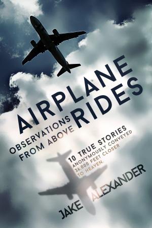 Cover of the book Airplane Rides: Observations From Above by Richard Crasta