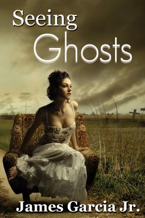 Cover of the book Seeing Ghosts by D.T. Dyllin