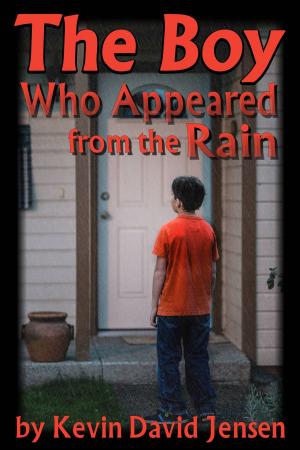 Cover of the book The Boy Who Appeared from the Rain by David Jensen