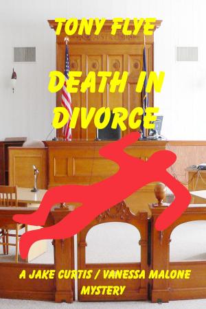 Book cover of Death in Divorce, a Jake Curtis / Vanessa Malone Mystery