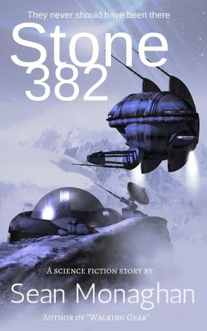 Cover of the book Stone 382 by Sean Monaghan