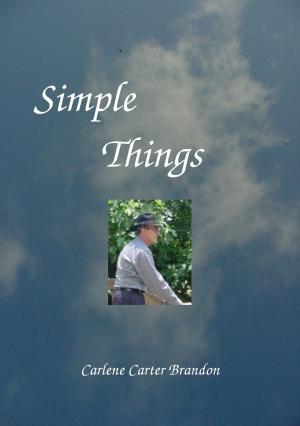 Cover of the book Simple Things by Jennie Bennett