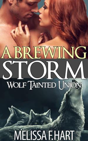 Cover of the book A Brewing Storm by GlennAndSasha Gabriel