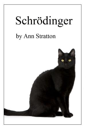 Cover of the book Schrödinger by Ann Stratton