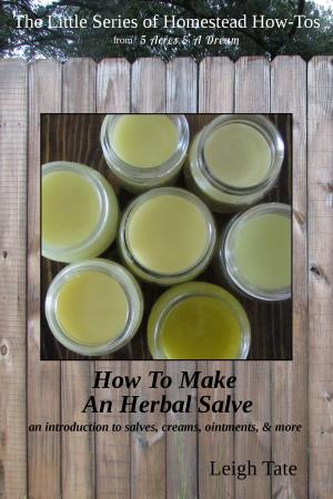 Cover of How To Make an Herbal Salve: An Introduction To Salves, Creams, Ointments, & More