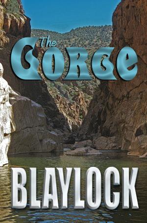 Book cover of The Gorge