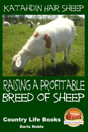 Cover of the book Katahdin Hair Sheep: Raising a Profitable Breed of Sheep by Mickaela Olson, Kissel Cablayda