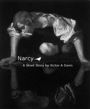 Book cover of Narcy