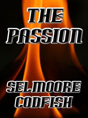 Book cover of The Passion