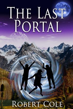 Book cover of The Last Portal