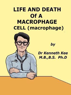 Book cover of Life And Death Of A Macrophage Cell (Macrophage)