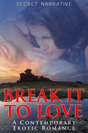 Cover of the book Break It To Love by Becca Sinh
