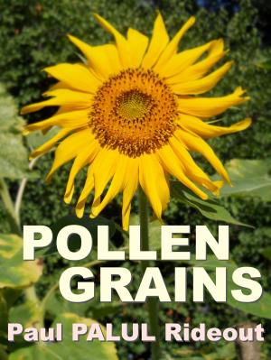 Cover of the book Pollen Grains by M.J. Rumyantsev