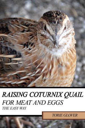 Cover of the book Raising Coturnix Quail for Meat and Eggs: the easy way by Charles Whymper